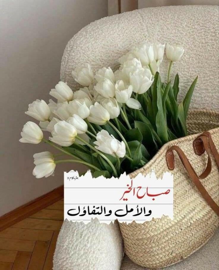 منال عبدالعزيز