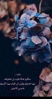 طلعت الرويس