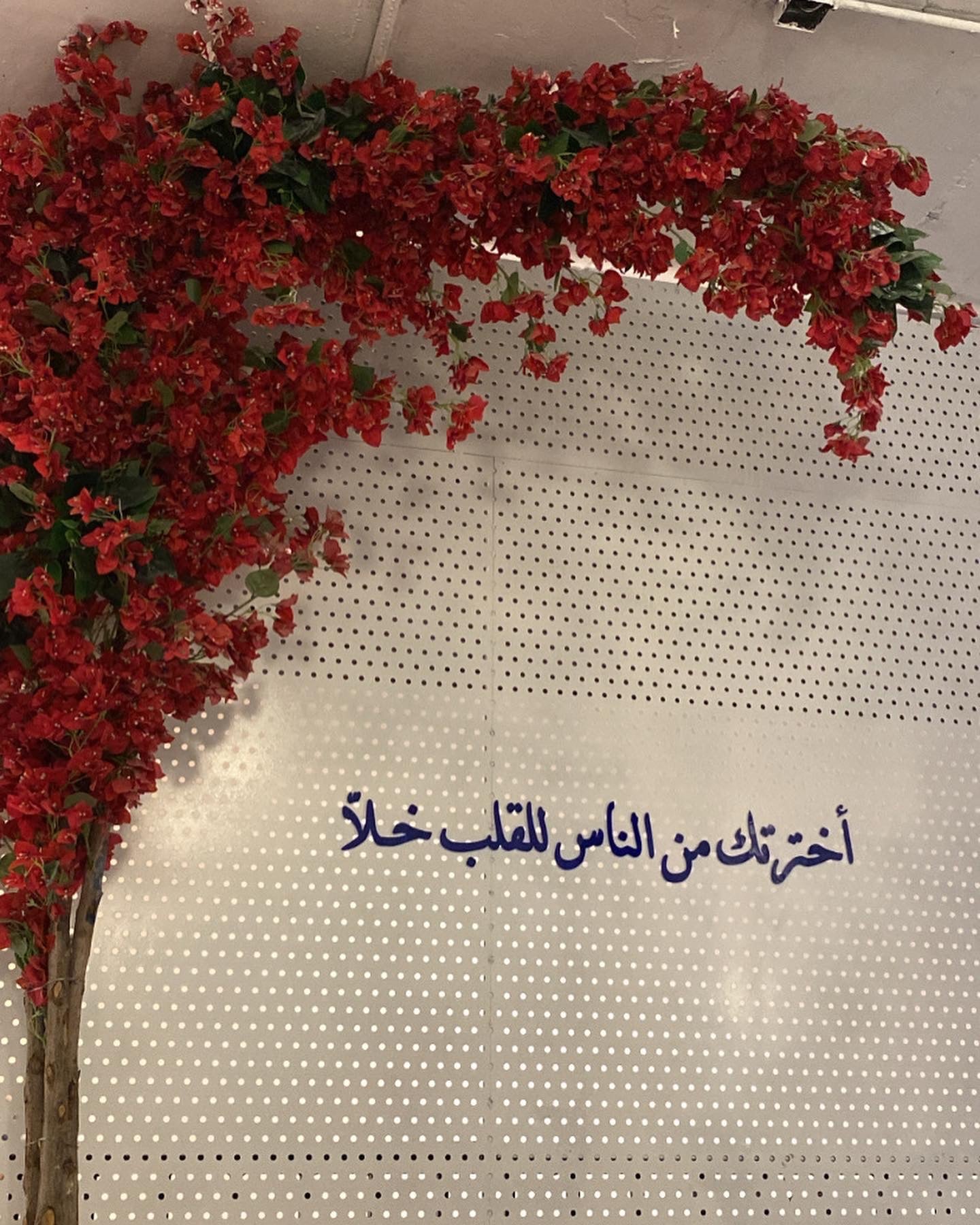 ســـاره الـــقــحــطــانــــــي