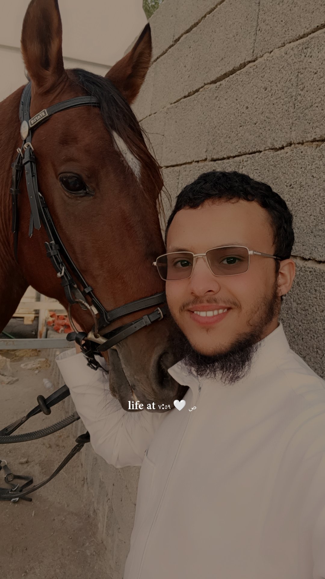 عمرو العامري