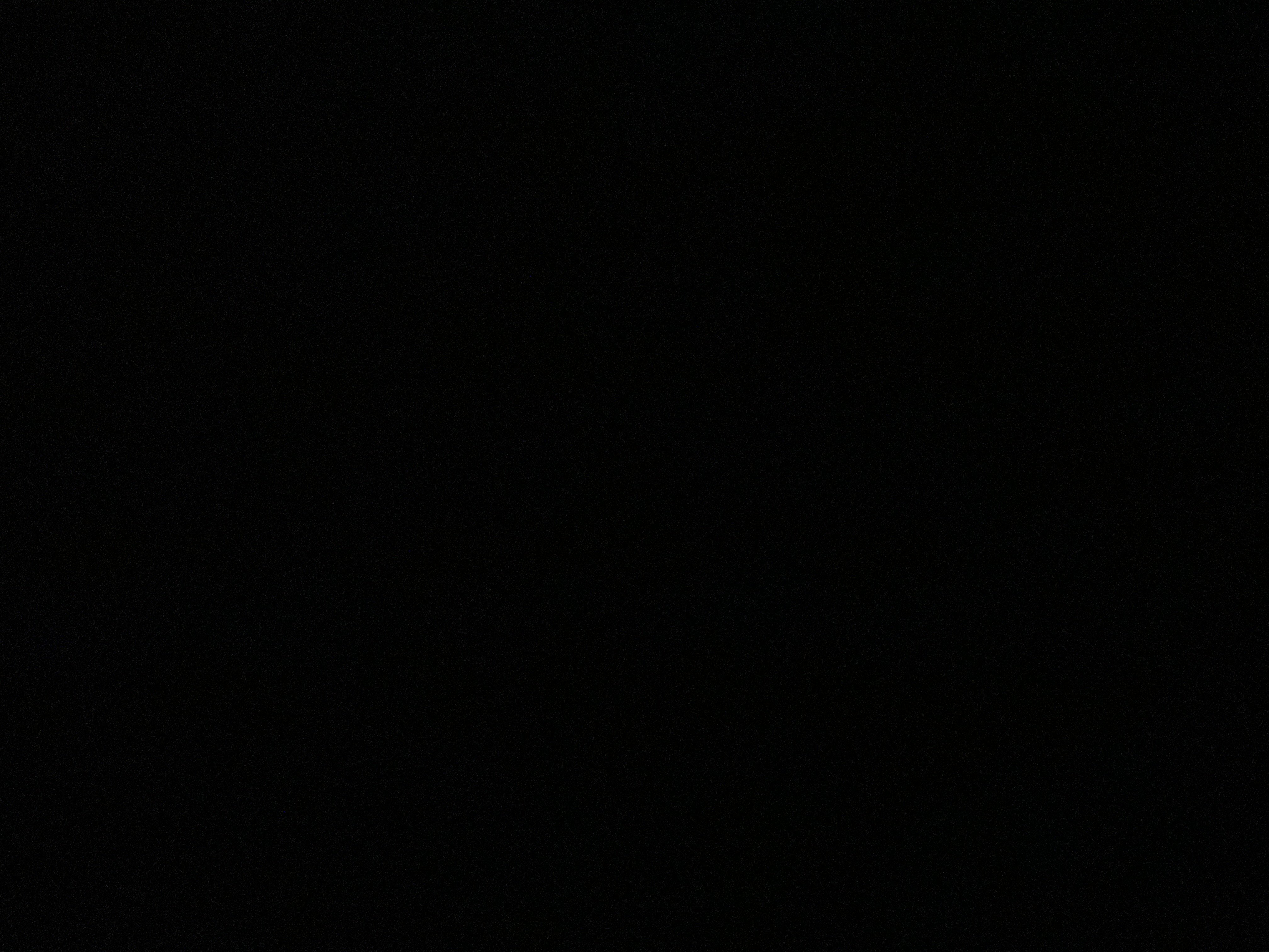 وفاء الشهري