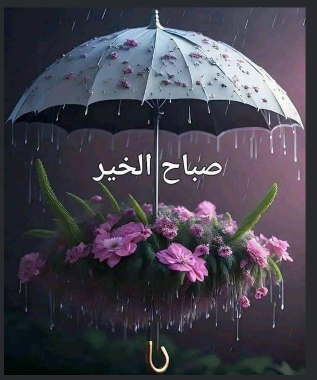 حوراء الحمادي