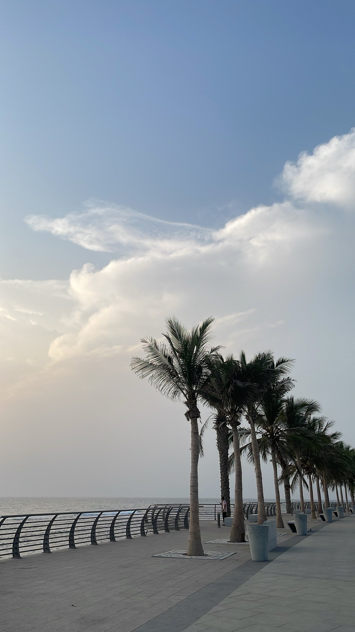 دلال المالكي