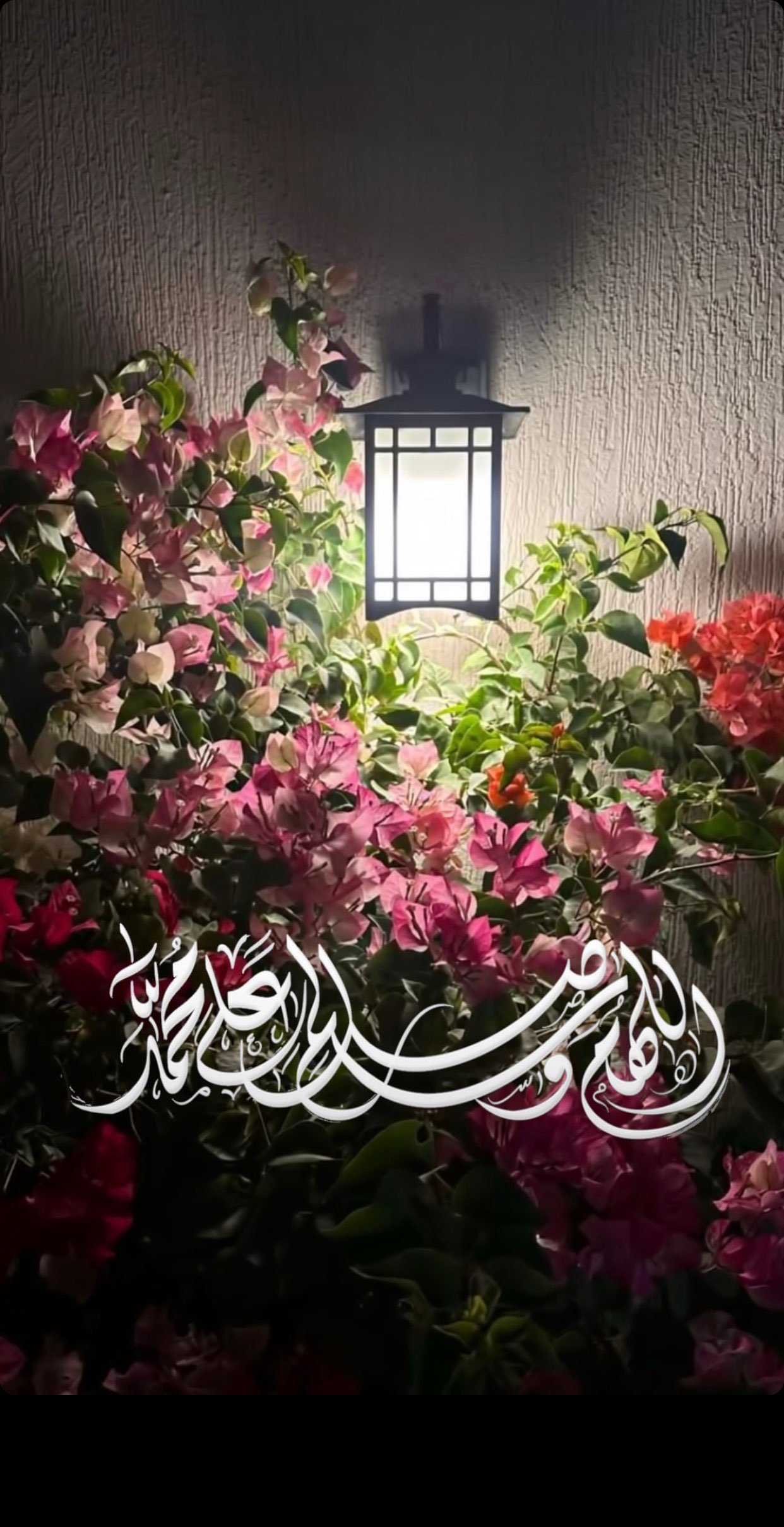 سهيله العرياني