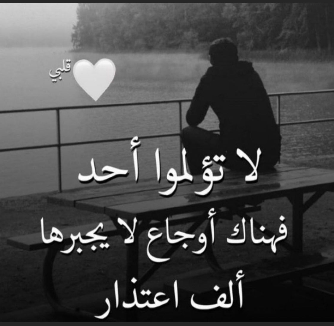 محمد القثامي
