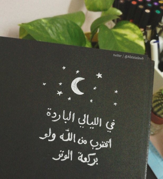 نوال الحارثي