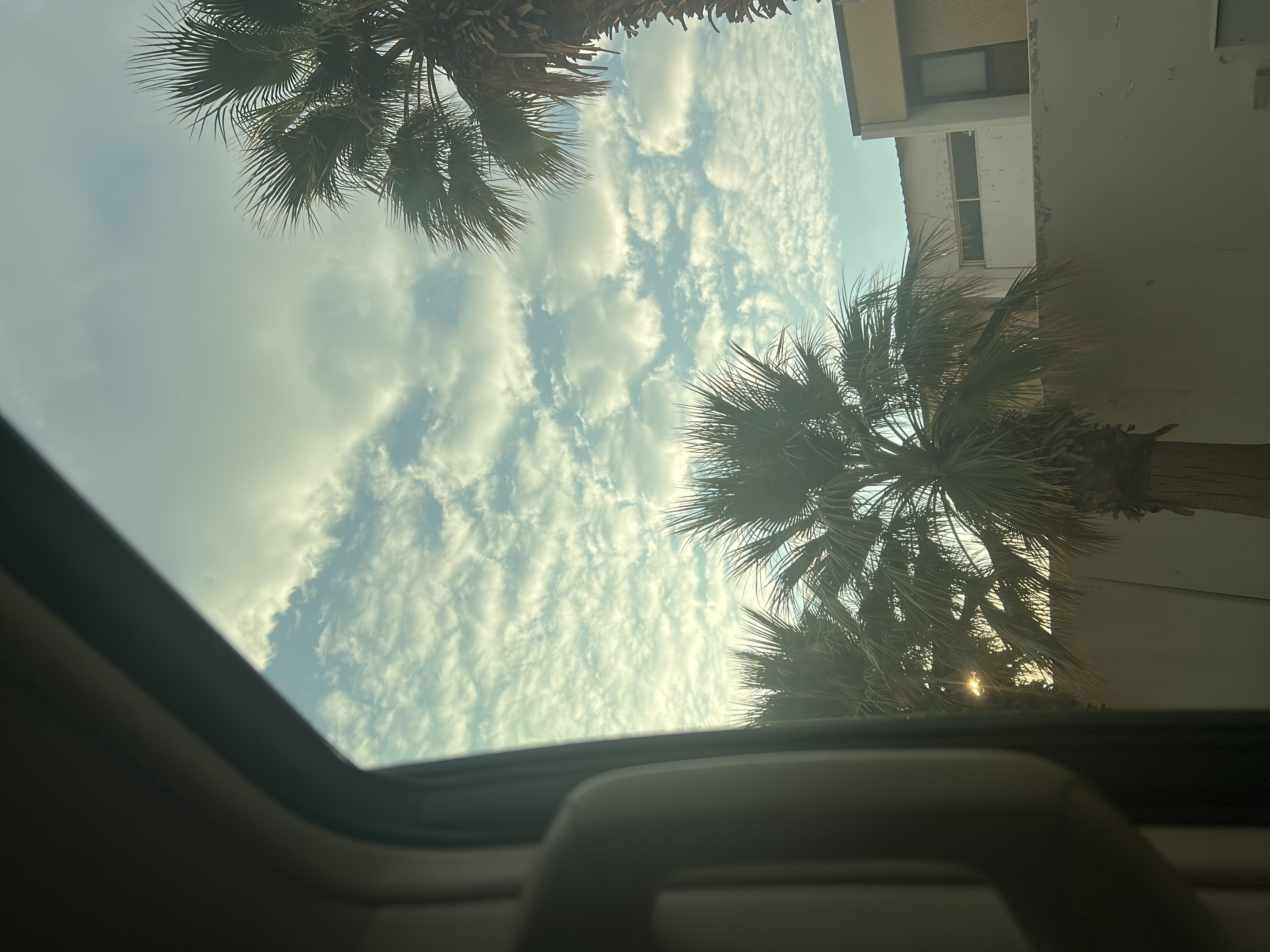 وعد الزهراني