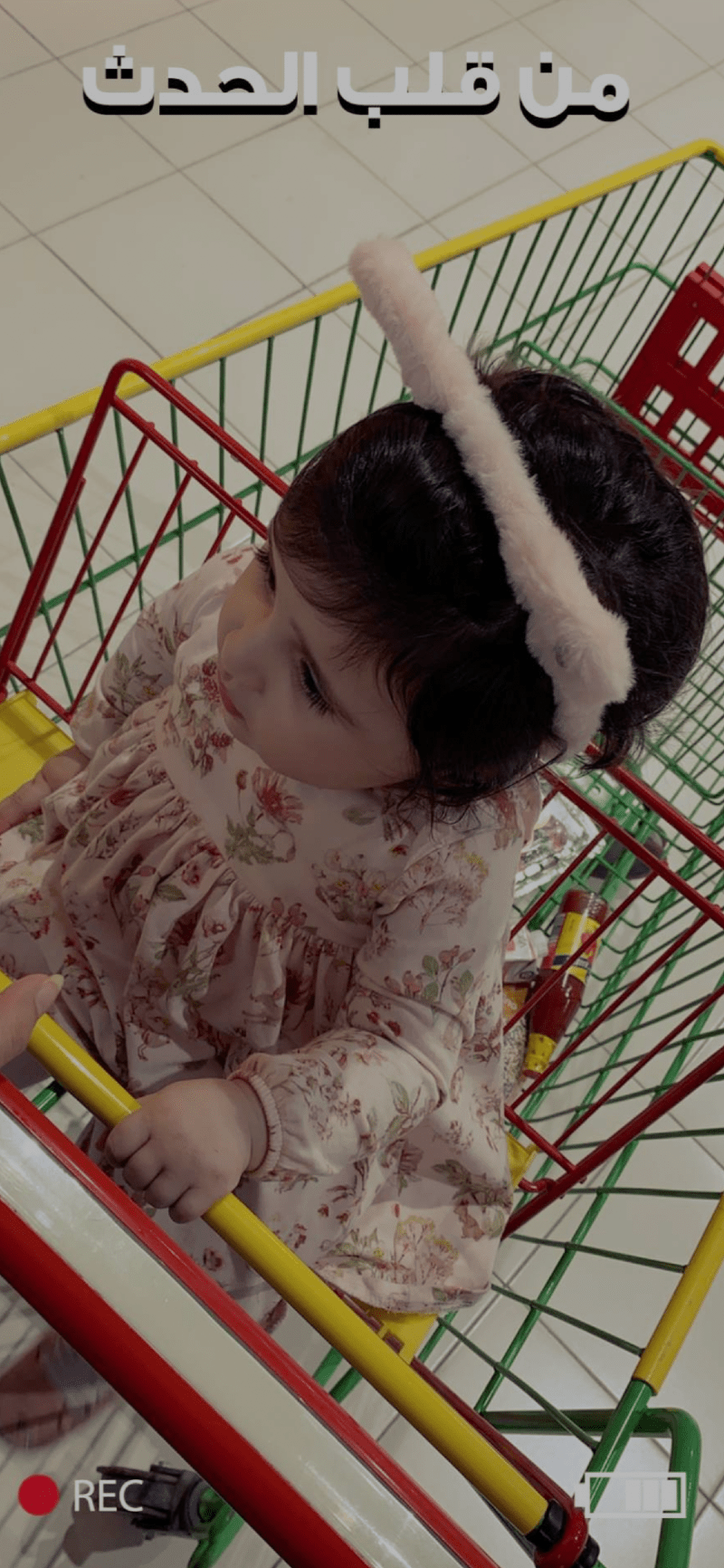 دانية المجدوعي