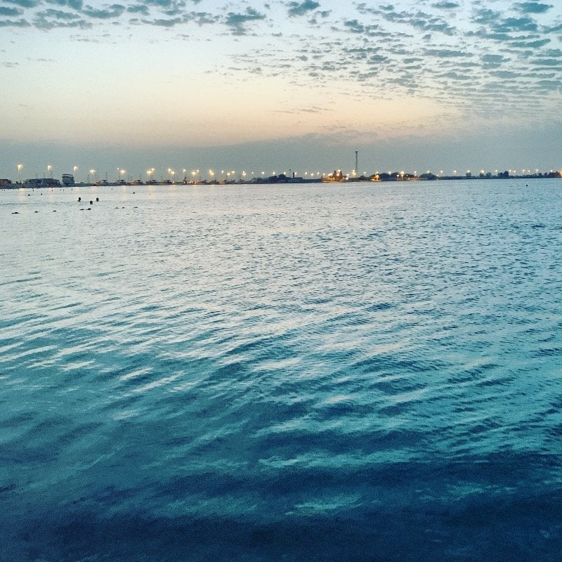 ام فهد الفهد