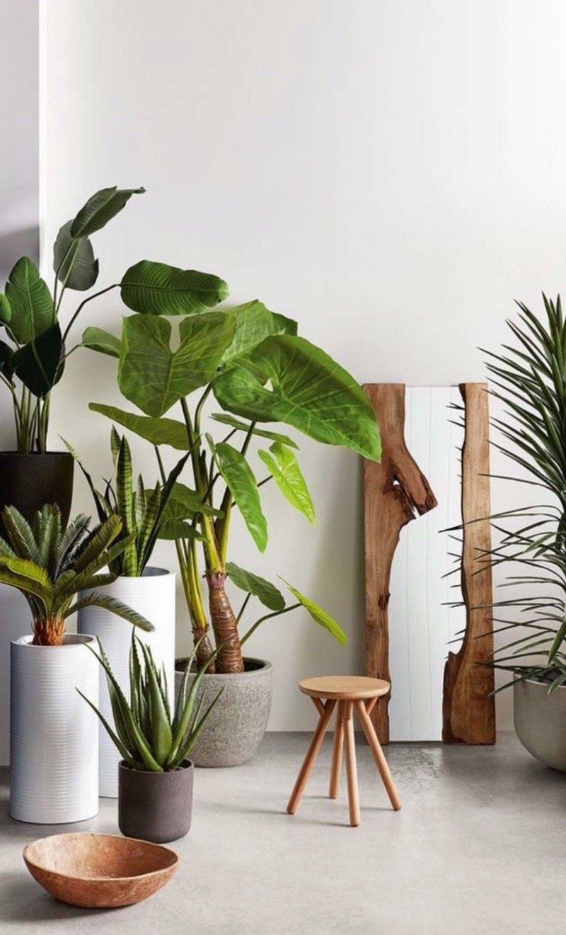 مشاعل عمر صايغ