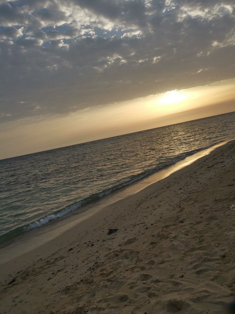هيفاء العوفي