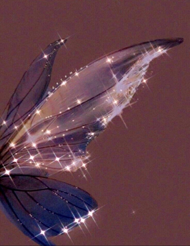 العنود الشهري