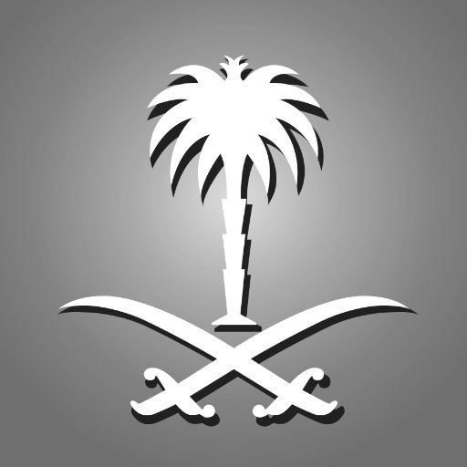 زياد علي العلي