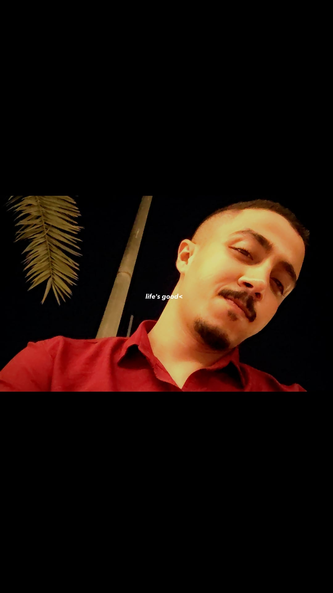 كريم عمرو