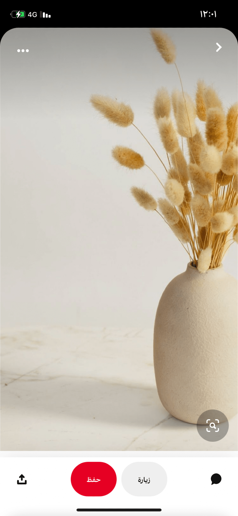 أميرة الدوسري