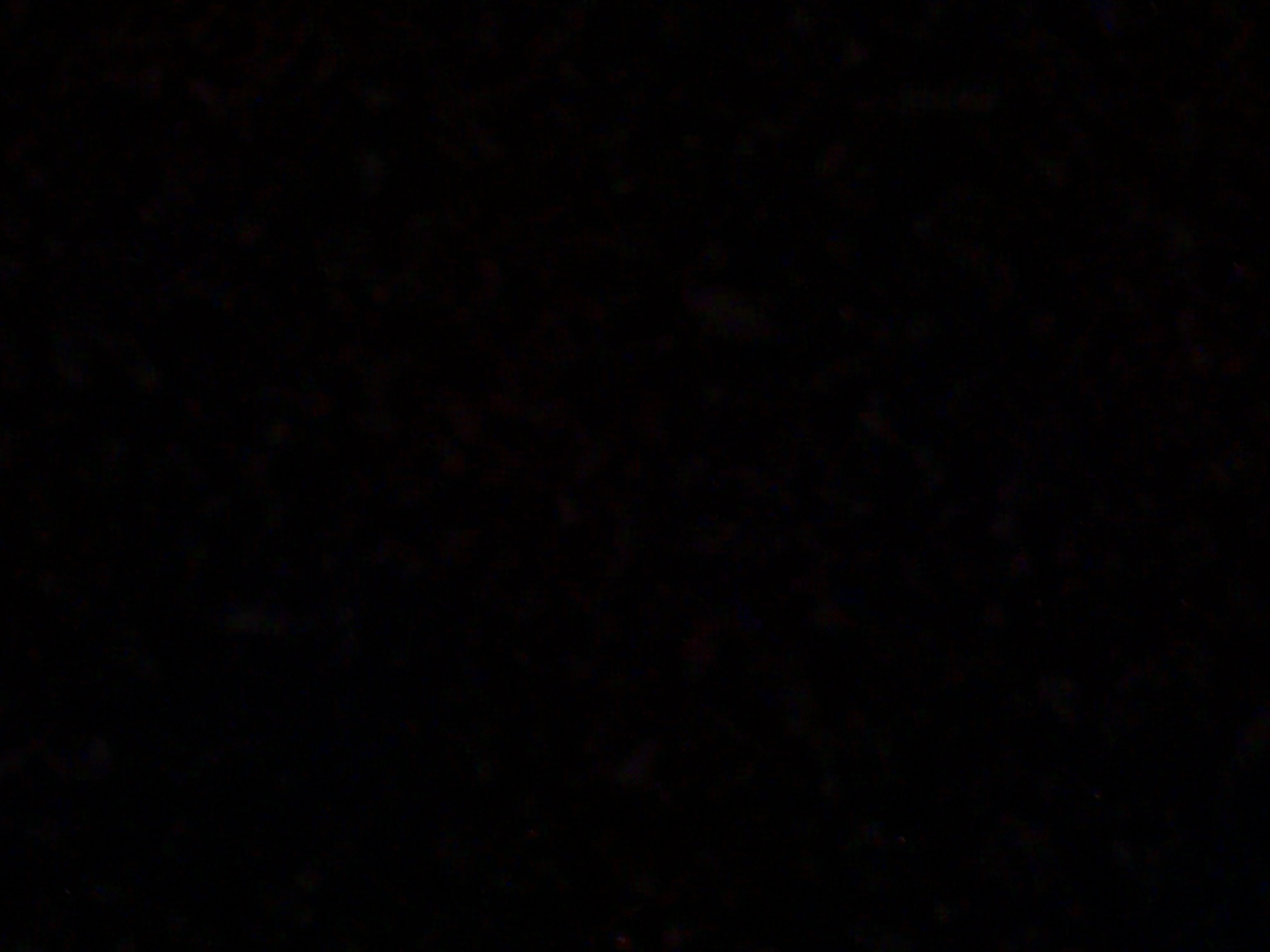 عبدالعزيز الخمشي