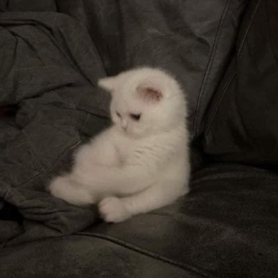 ود سعد الحربي