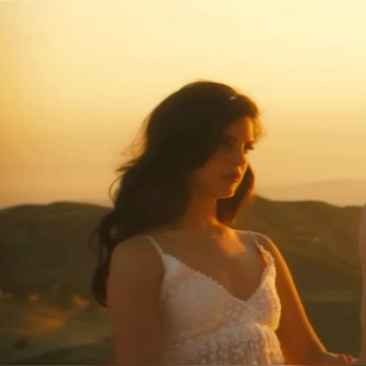 فاطمه السيد