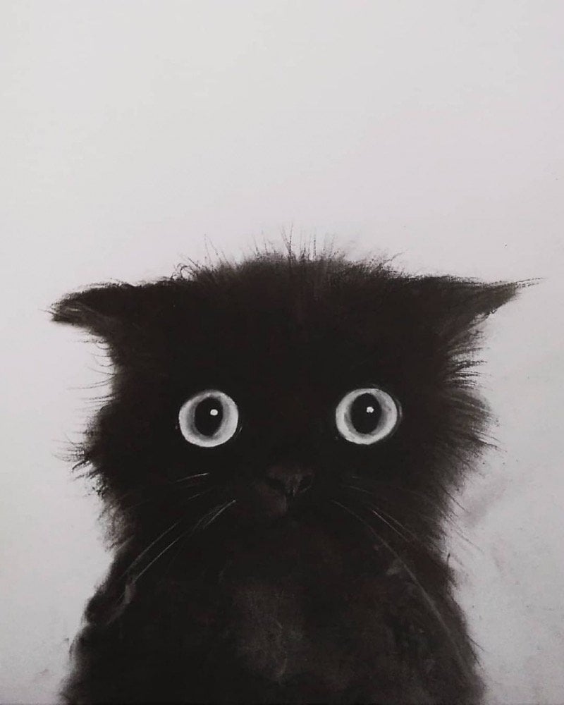 فريال الهذلي