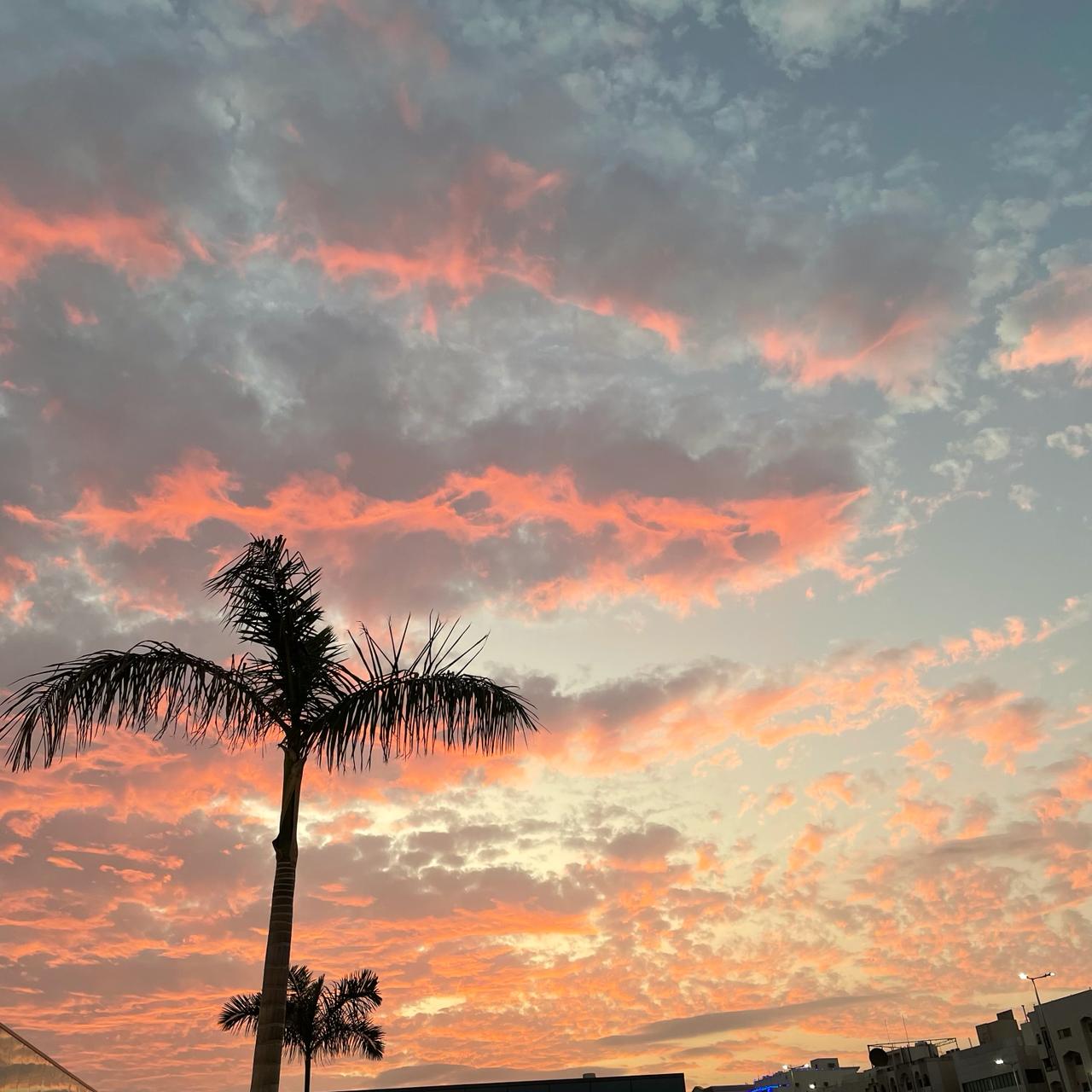 نواف المالكي