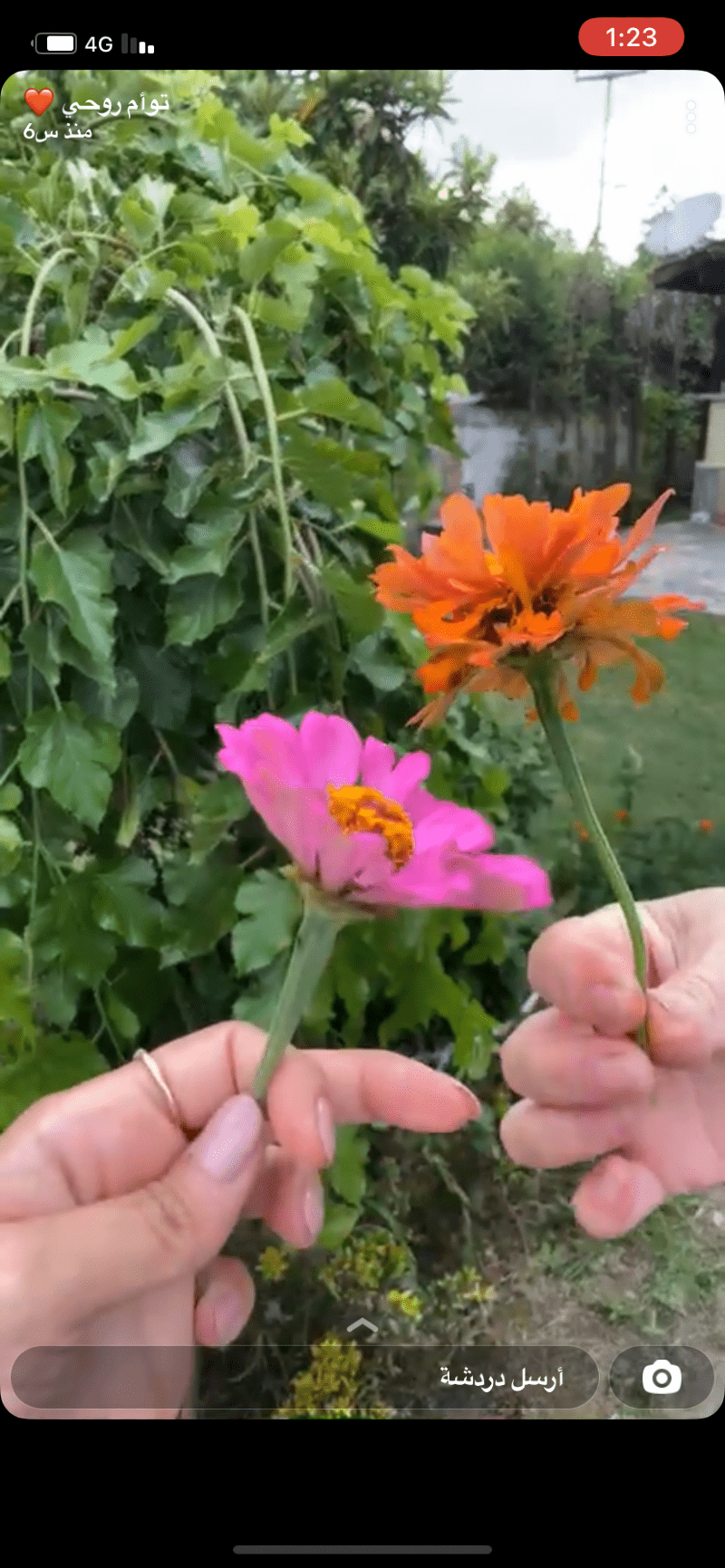 منيرة الشهراني