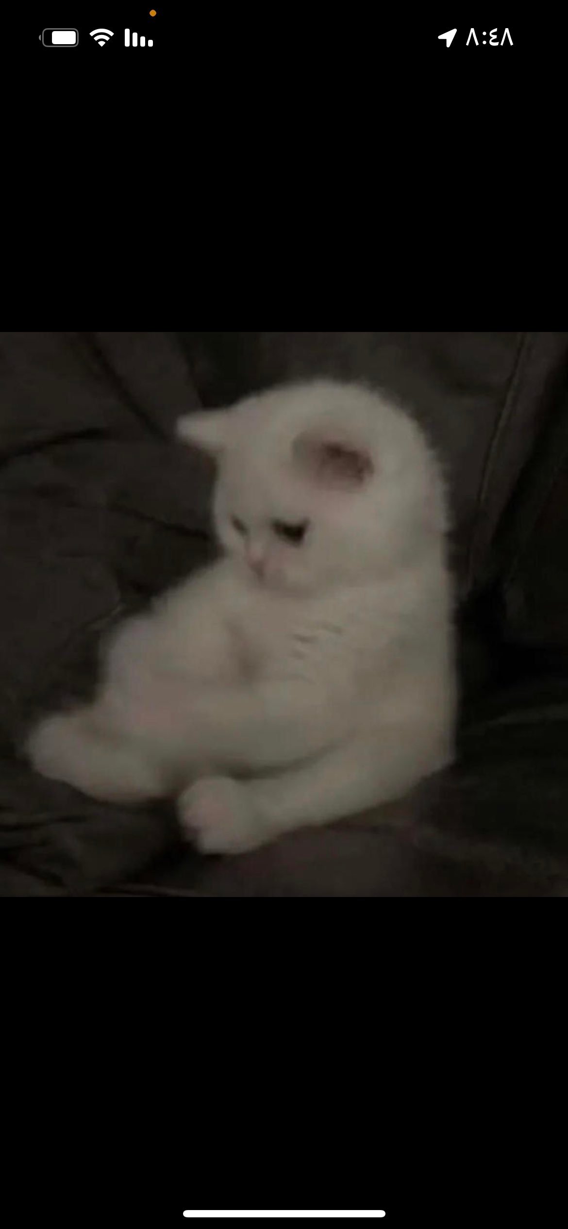 محمد الحربي