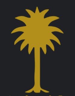 تركي العتيبي