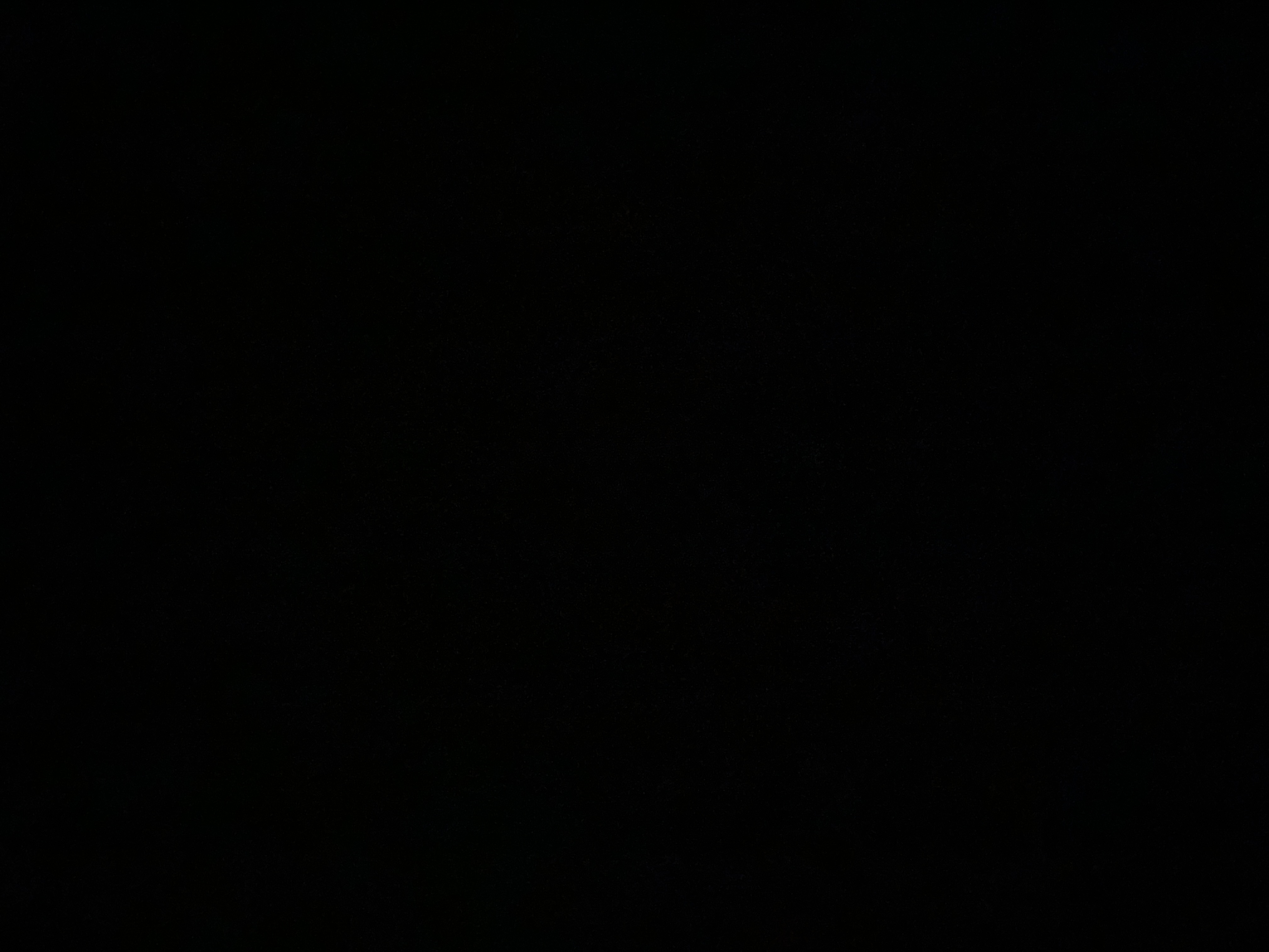 باسم الحبيشي