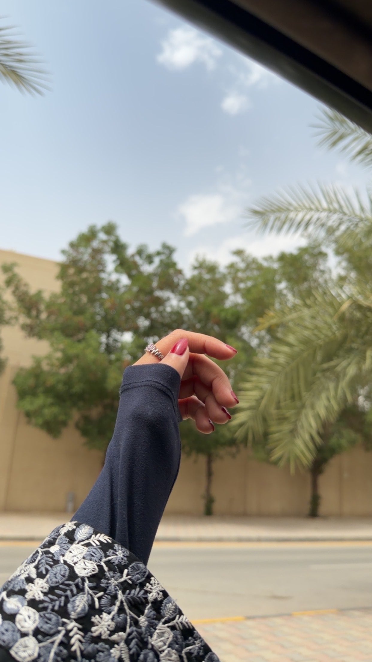Lamis ALshaeri