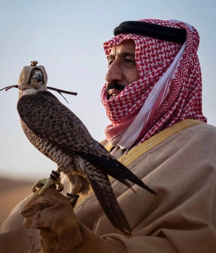محمد 
