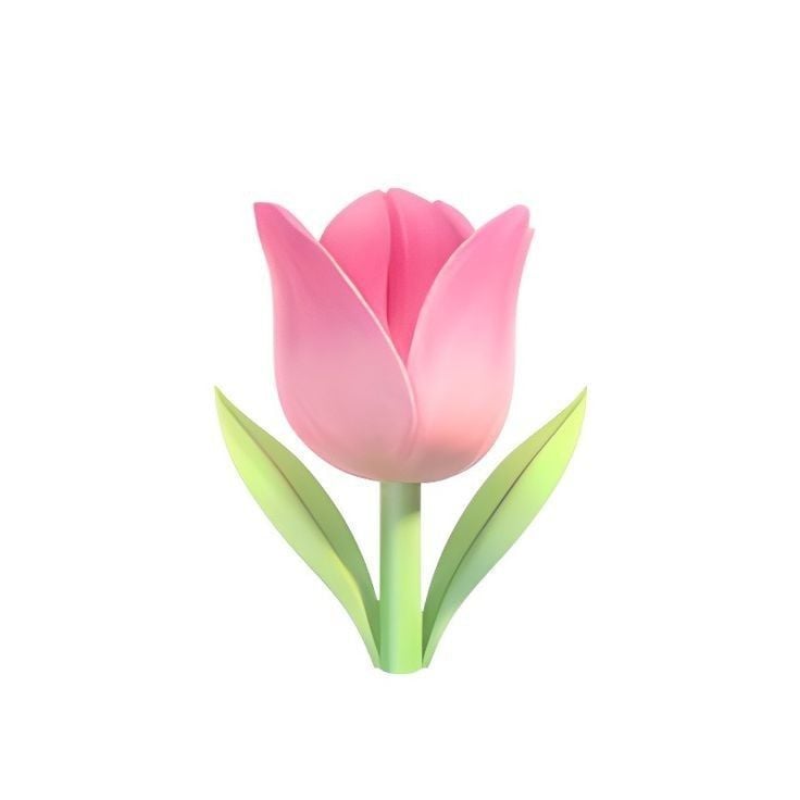 عائشه هزازي