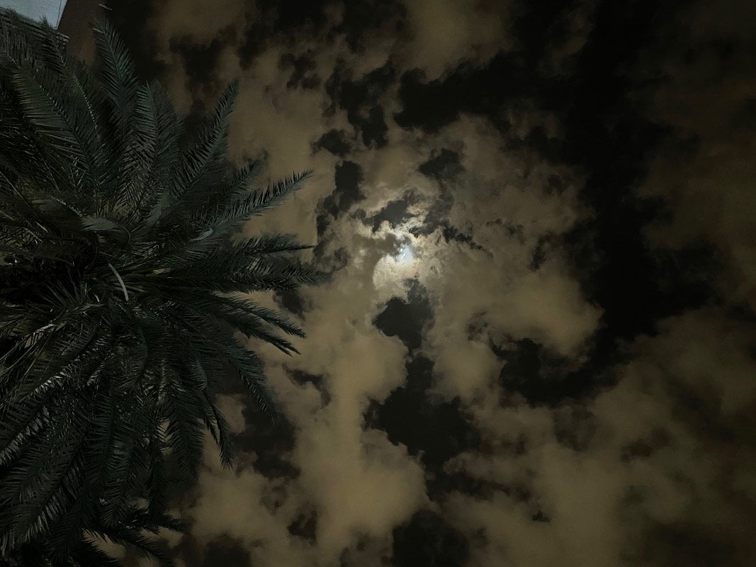 معاد المزيني