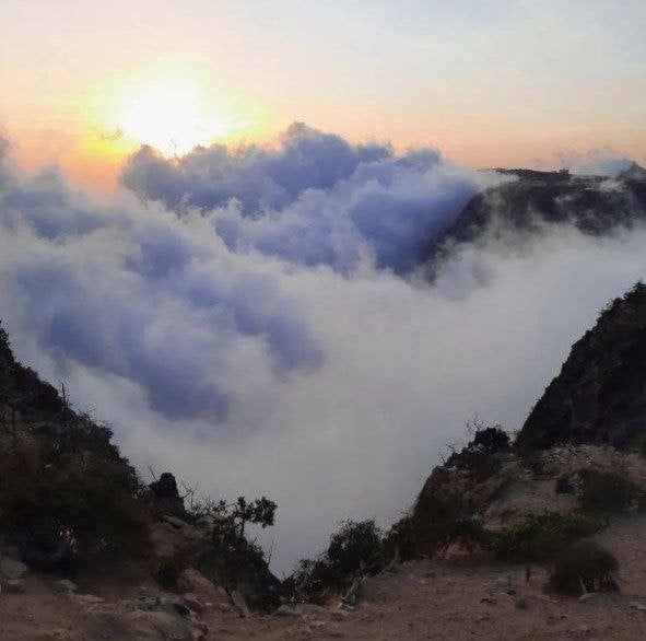 أمل الزهراني