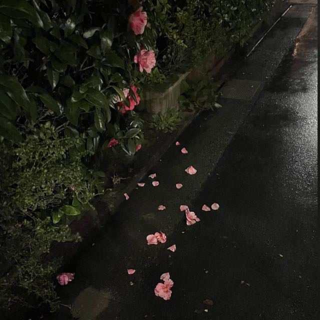 اسماء العتيبي