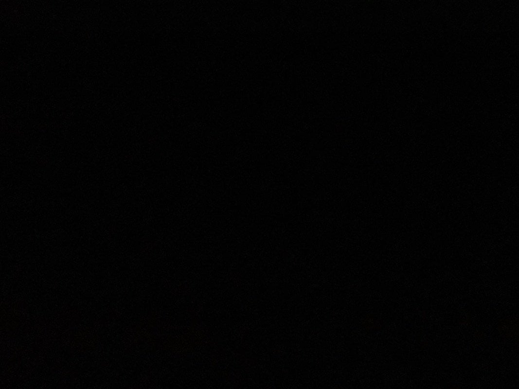 ليالي الكردي