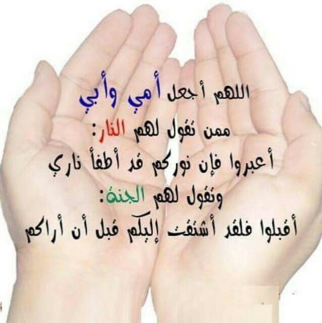 هياء الدوسري