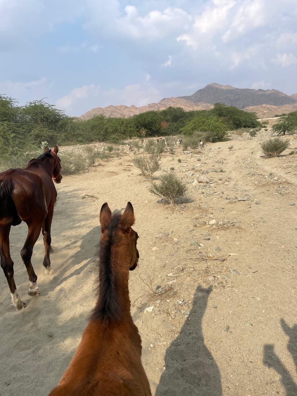 رزق الله اليزيدي