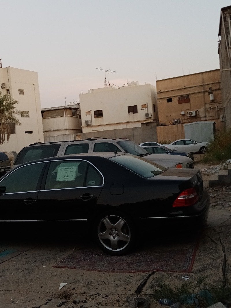 مهدي المعيبد