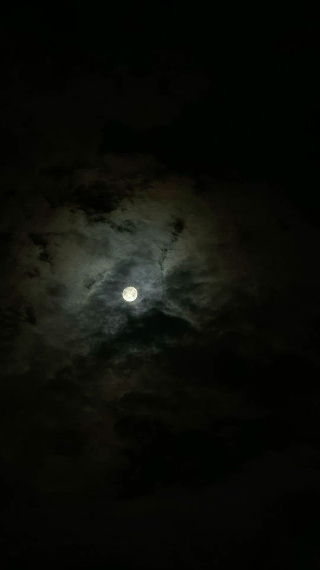 مبارك سيف القحطاني