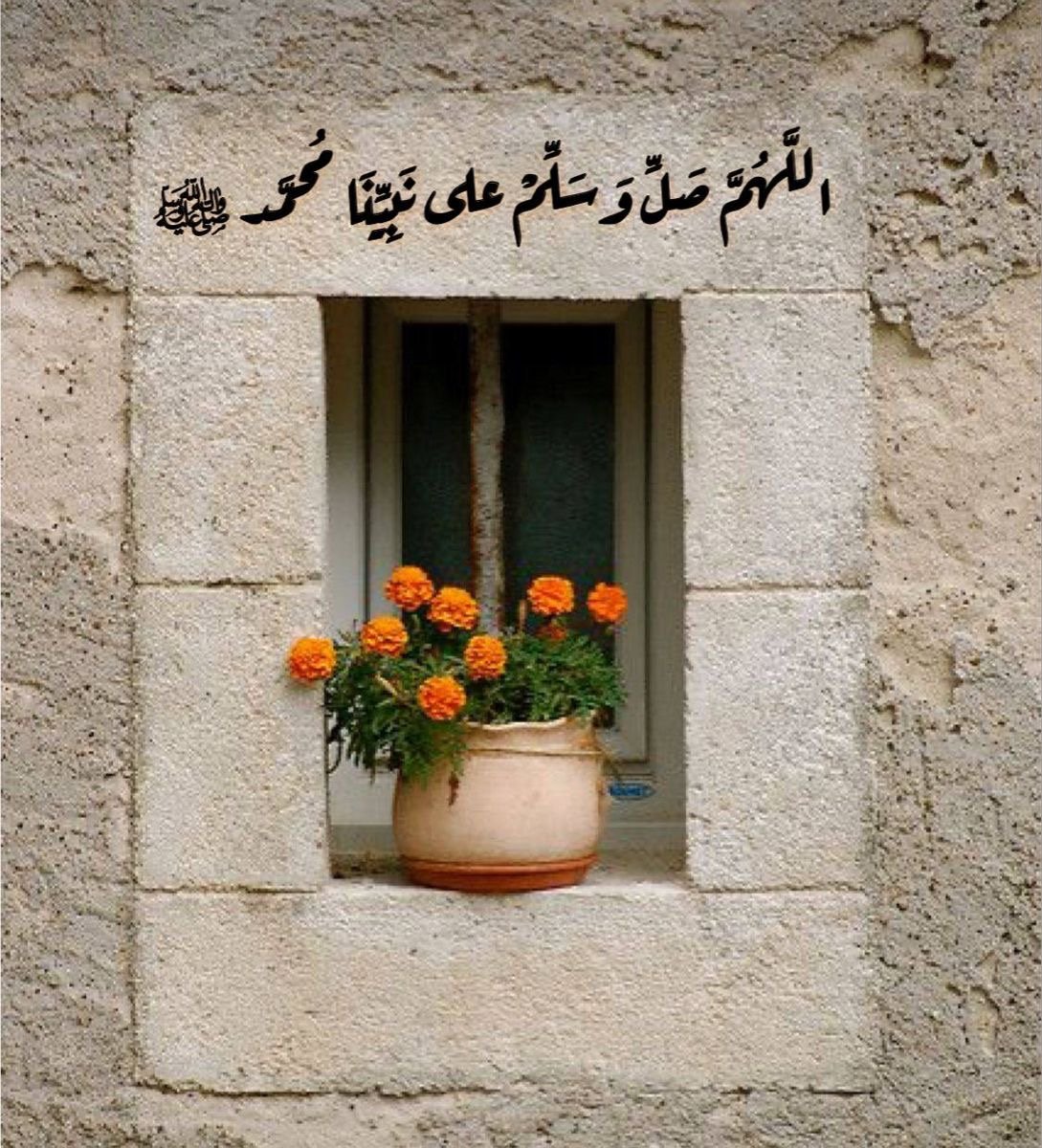 فاطمة شراحيلي شراحيلي