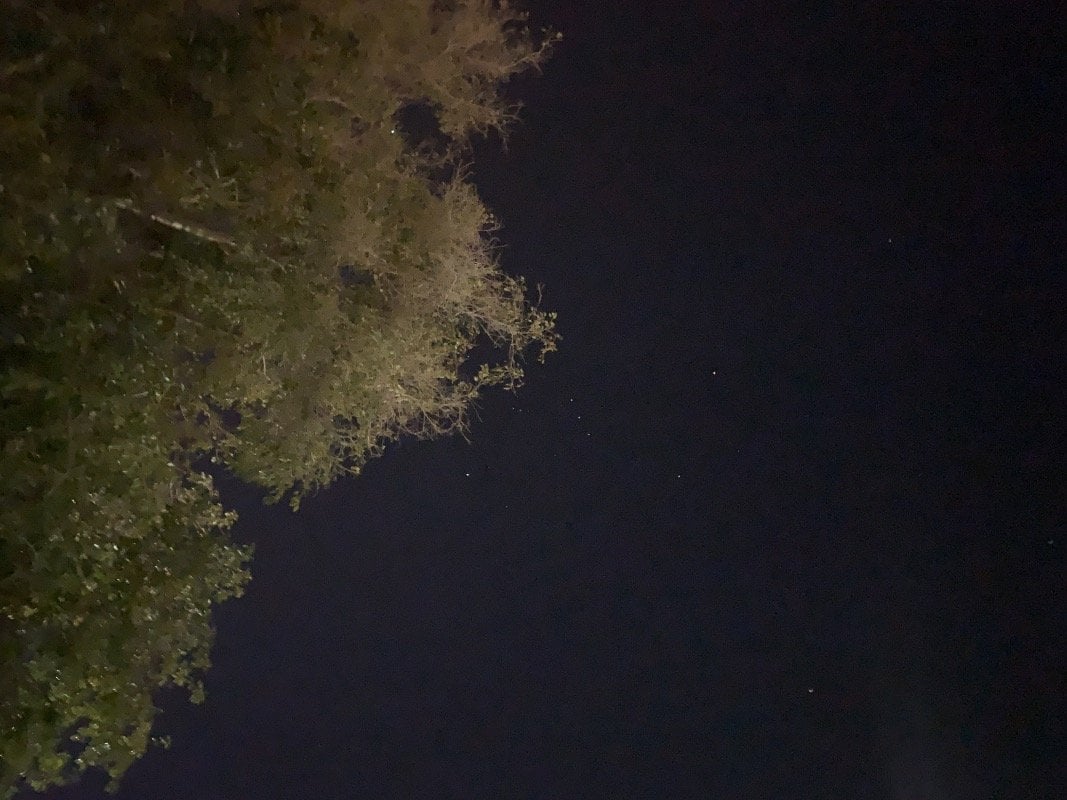 دلال ا المجري