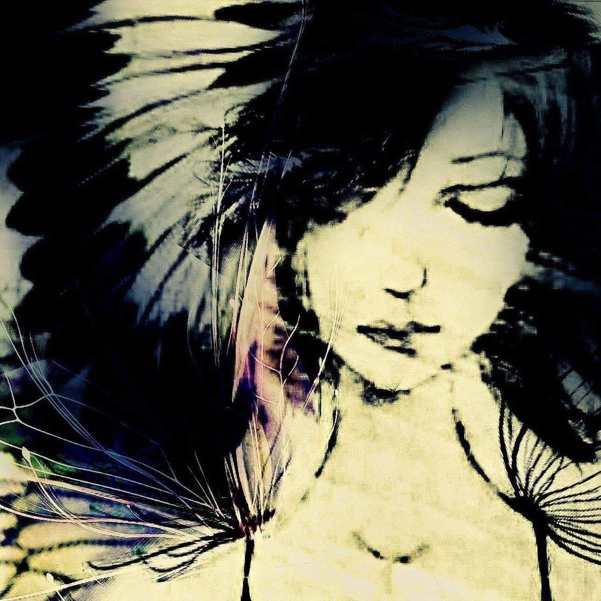 دانا الشهري