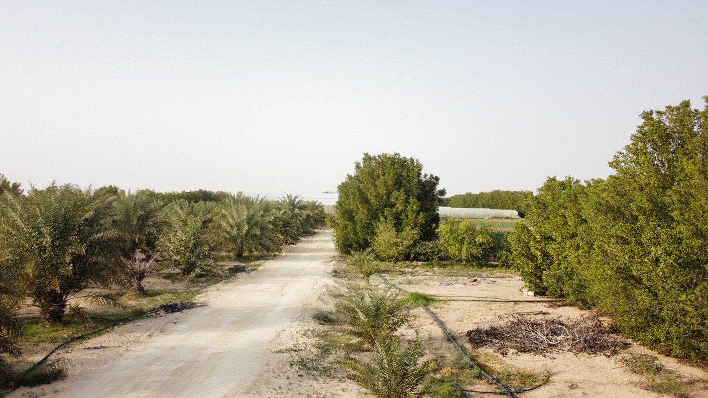 نايف العمير