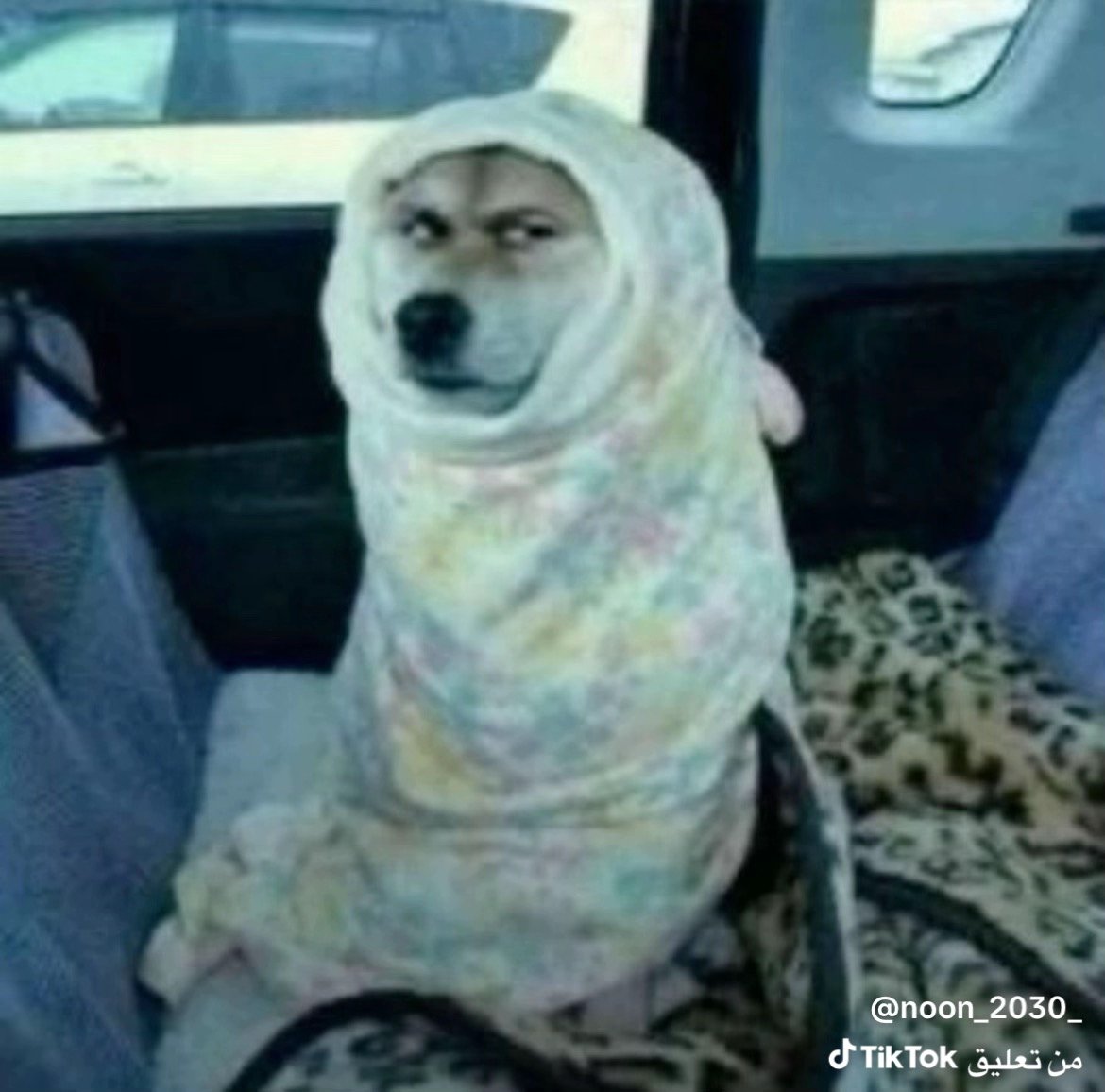 فيصل القحطاني