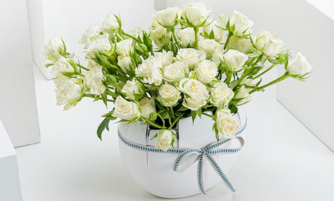 رندا عبدالرحمن