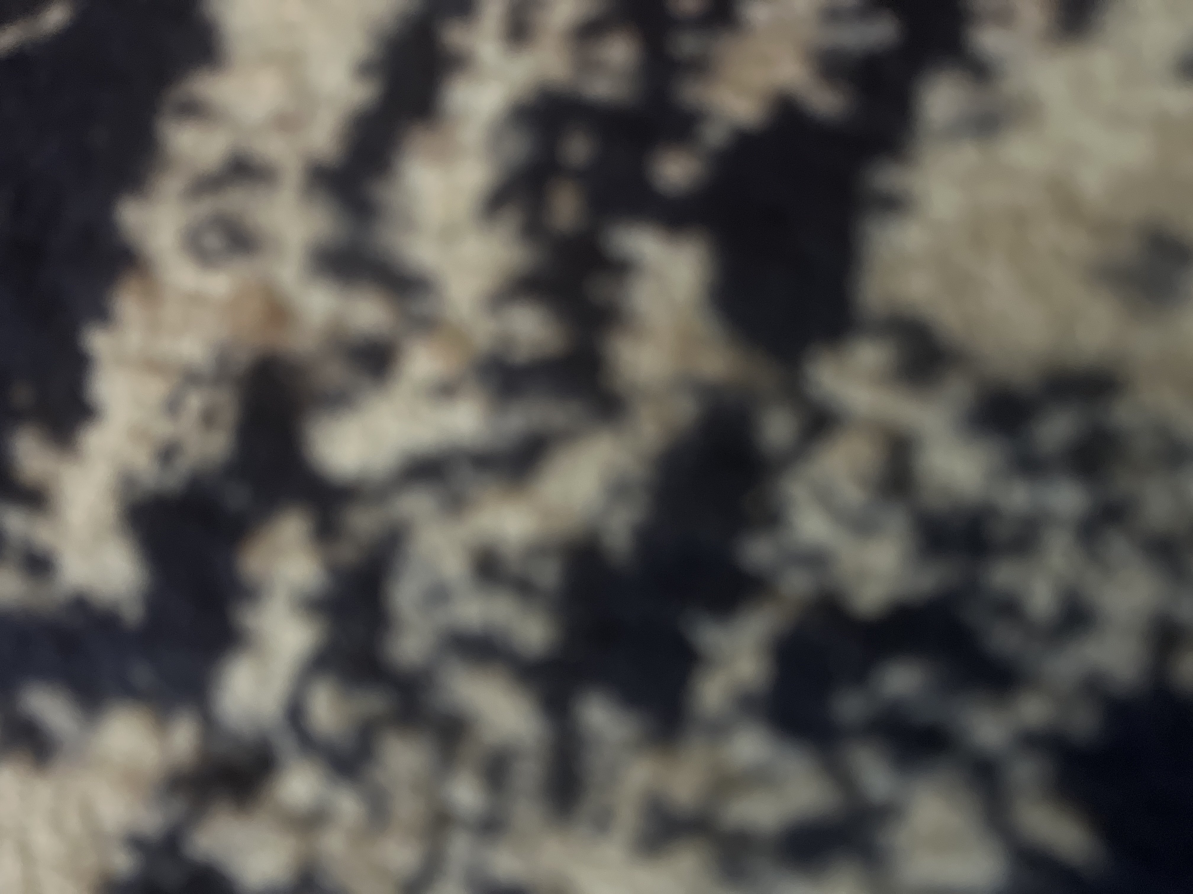 نواف العازمي