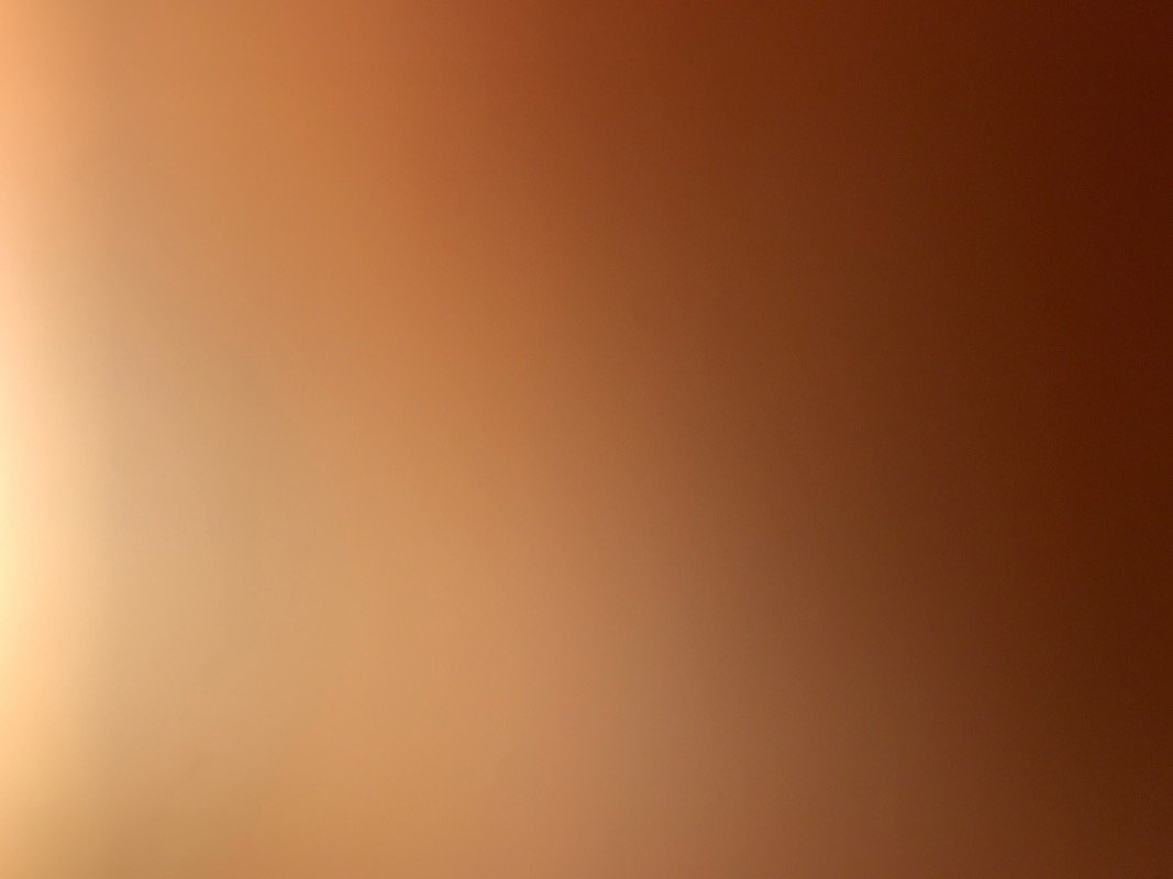 ليان دمنهوري