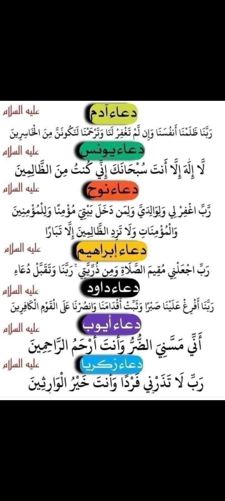 هلا مصطفى