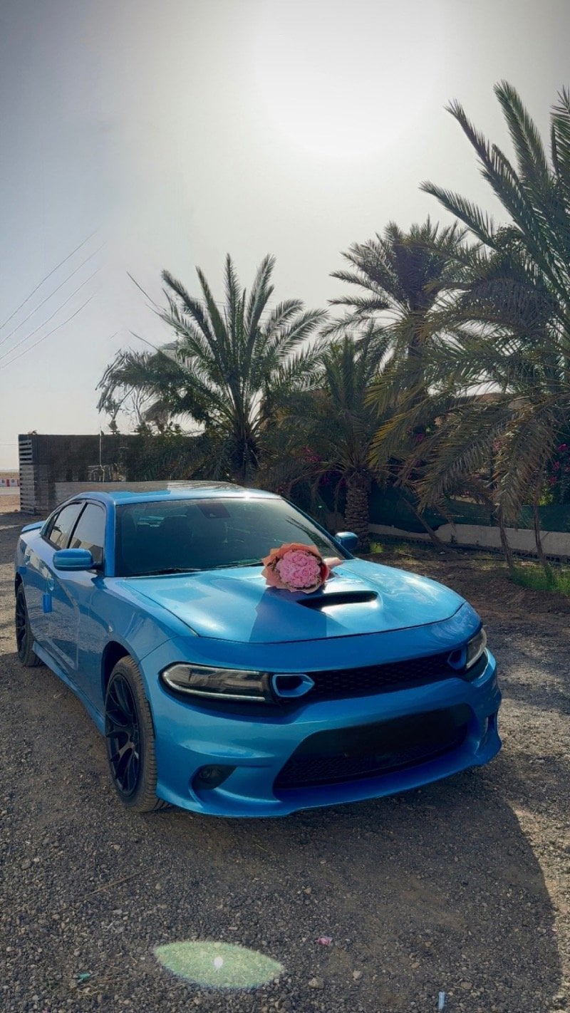 ابراهيم البديوي