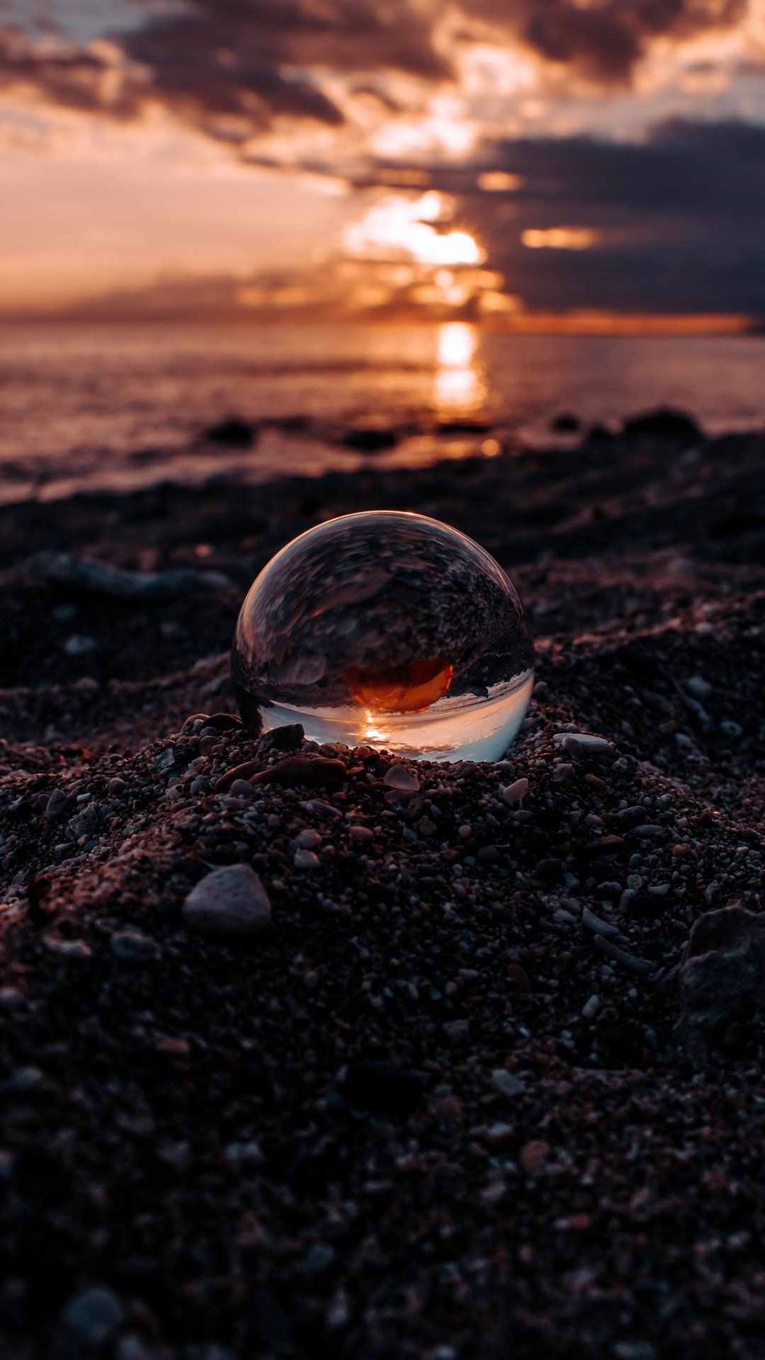 يحيى الربحي